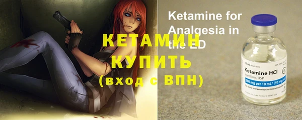 индика Гусев