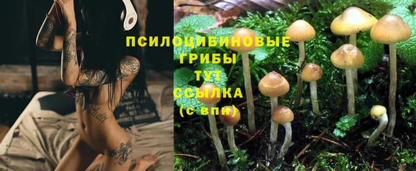 мдма Гусиноозёрск