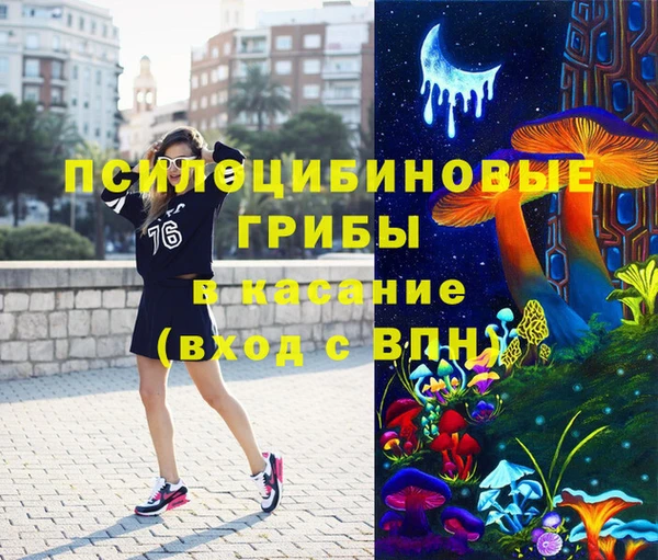 МДПВ Алзамай